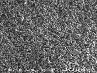 No08-w01-X2000-01.jpg