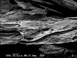 No12-w01-X0500-01.jpg