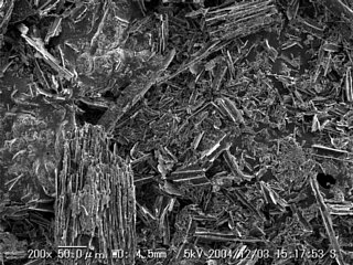 No23-w01-X0200-01.jpg
