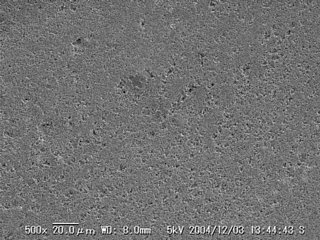 No33-w02-X0500-01.jpg